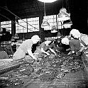 souvenirs en noir et blanc (732)